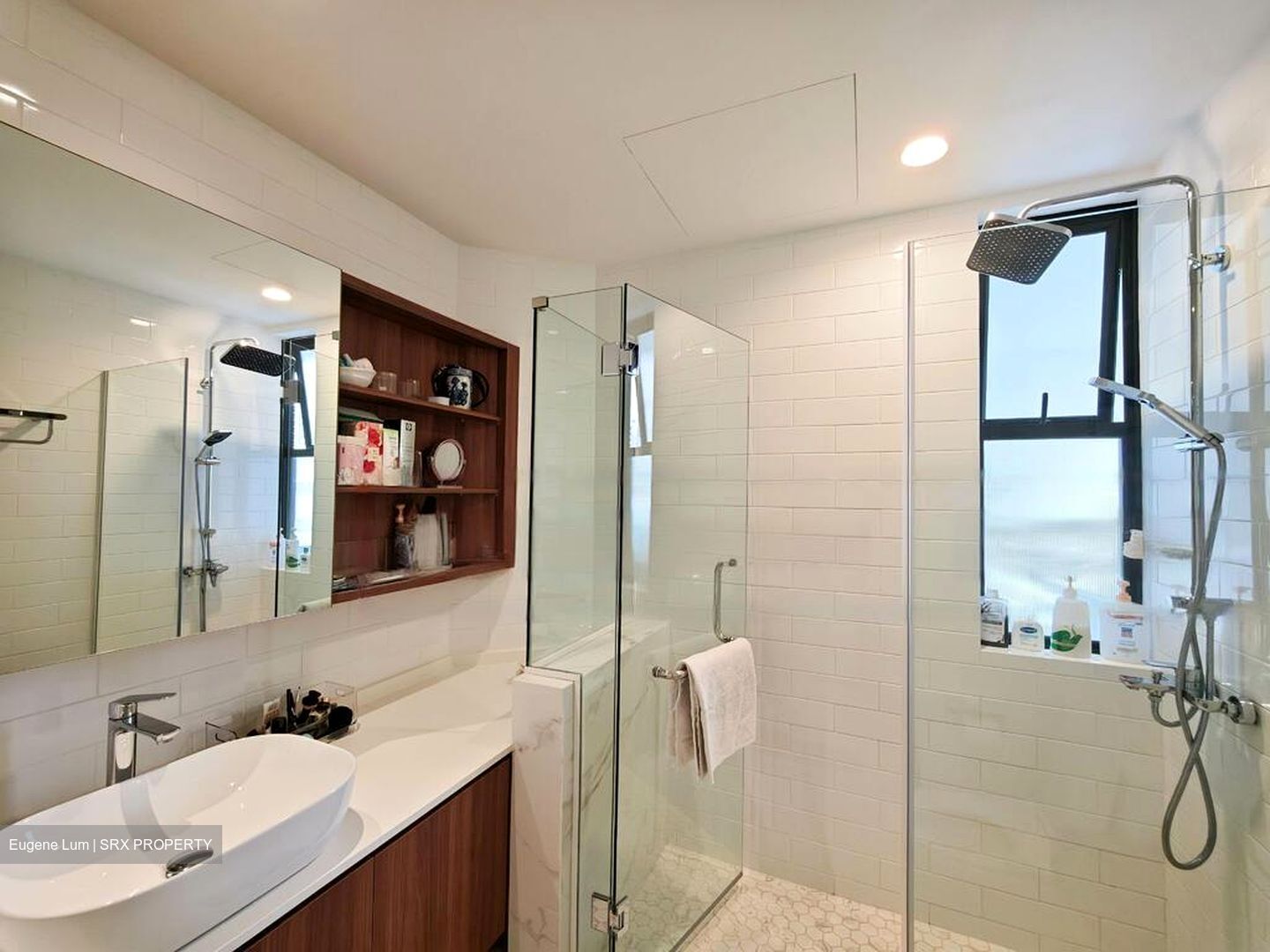 Elizabeth Heights (D9), Condominium #576805021